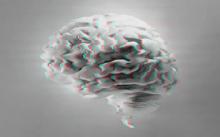 Glitchy brain