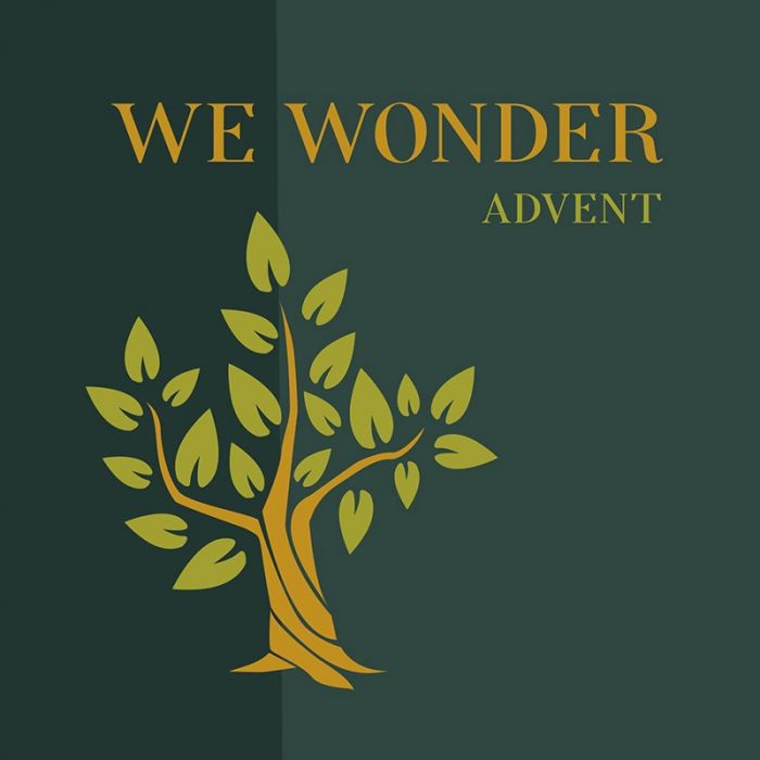 We Wonder Advent Podcast