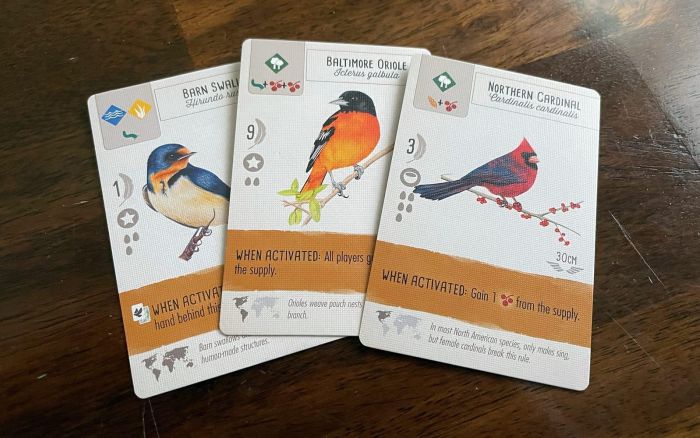Wingspan Tabletop Game - Bird Cards