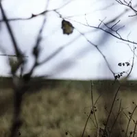 The Cycle of Days and Seasons