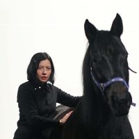 Scientific Advance, Art, and Horsing Around With Humanity