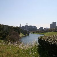 Notes from Japan, Part 4