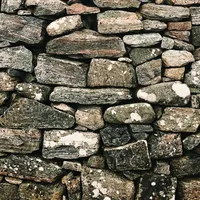 Tired of seeing paywalls? Blame AI.