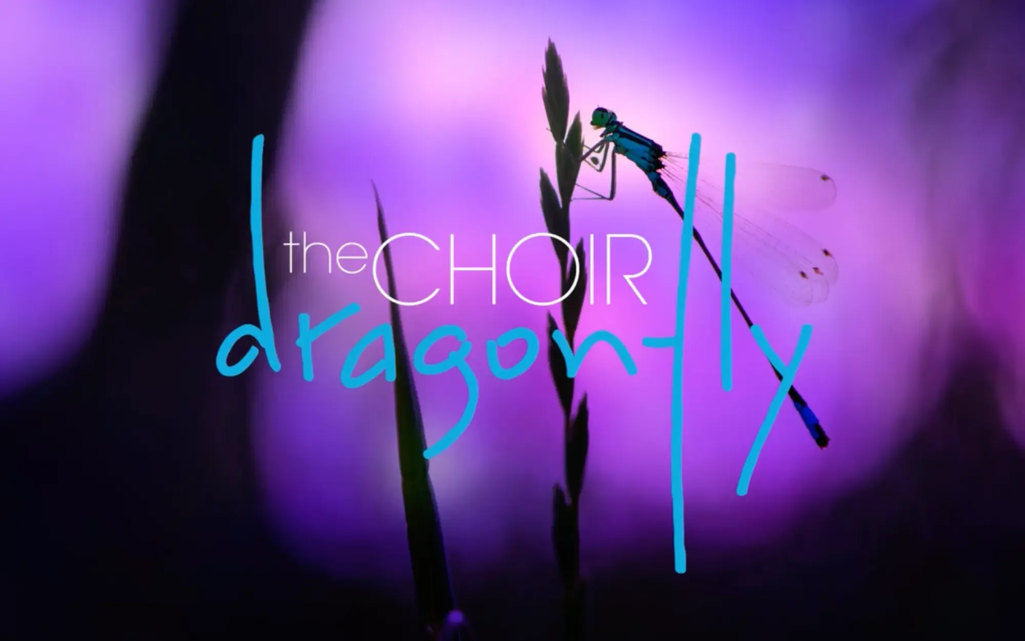 The Choir's Dragonfly Kickstarter Campaign