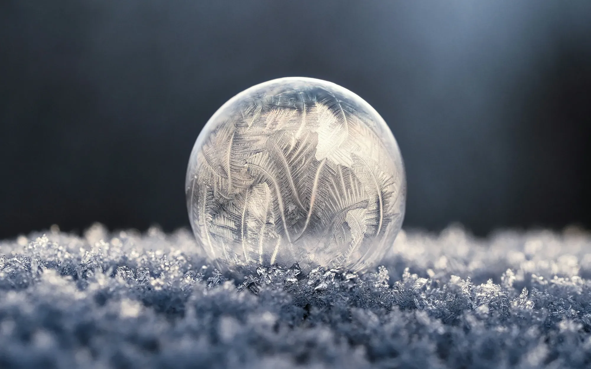 A photo of a frost-covered glass sphere surrounded by ice and frost