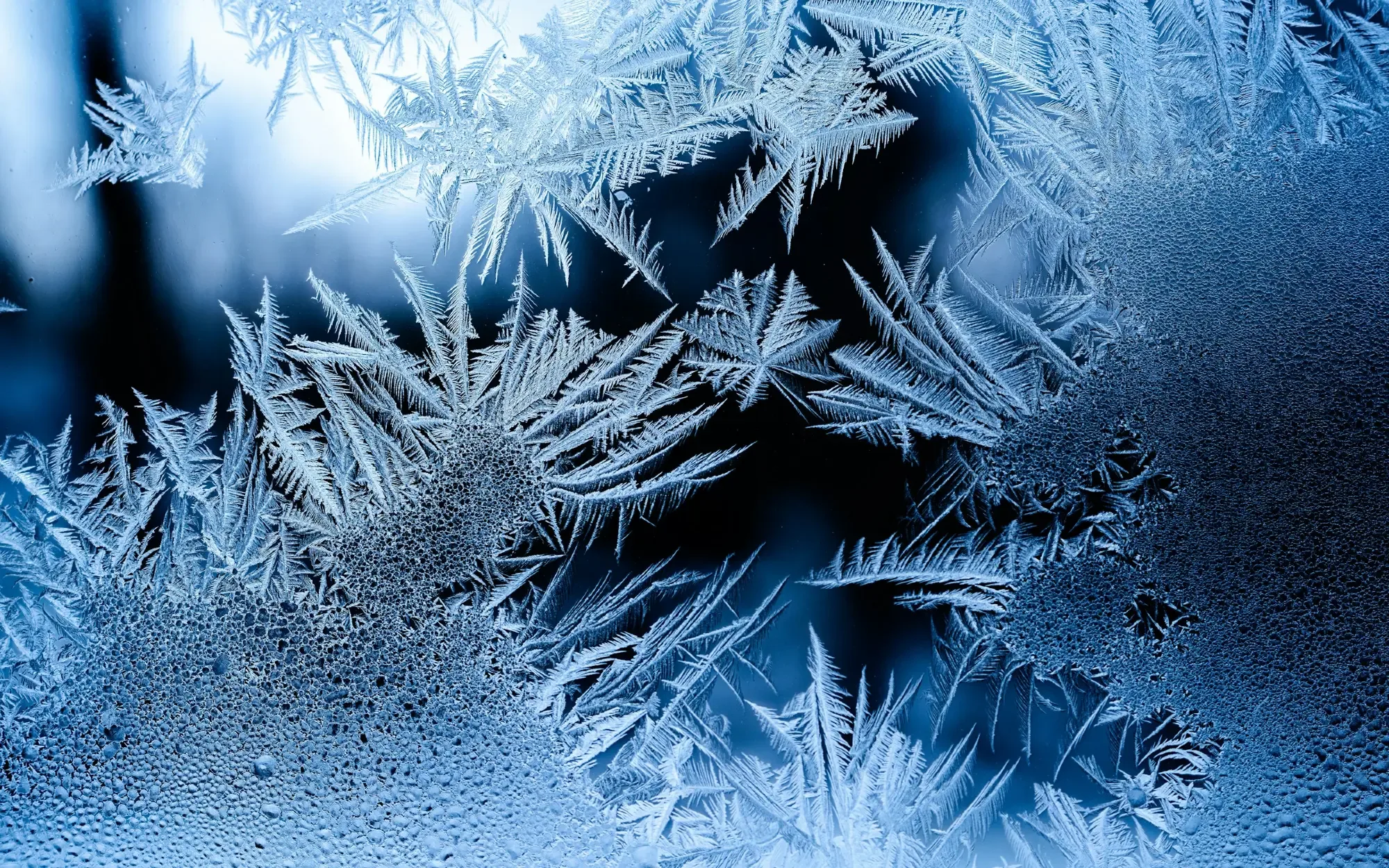 A close-up photo of a window covered in frost