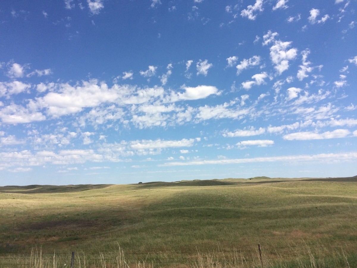 Nebraska Prairie #3