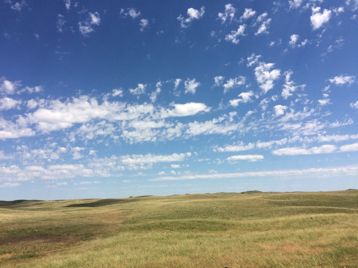 Nebraska Prairie #4