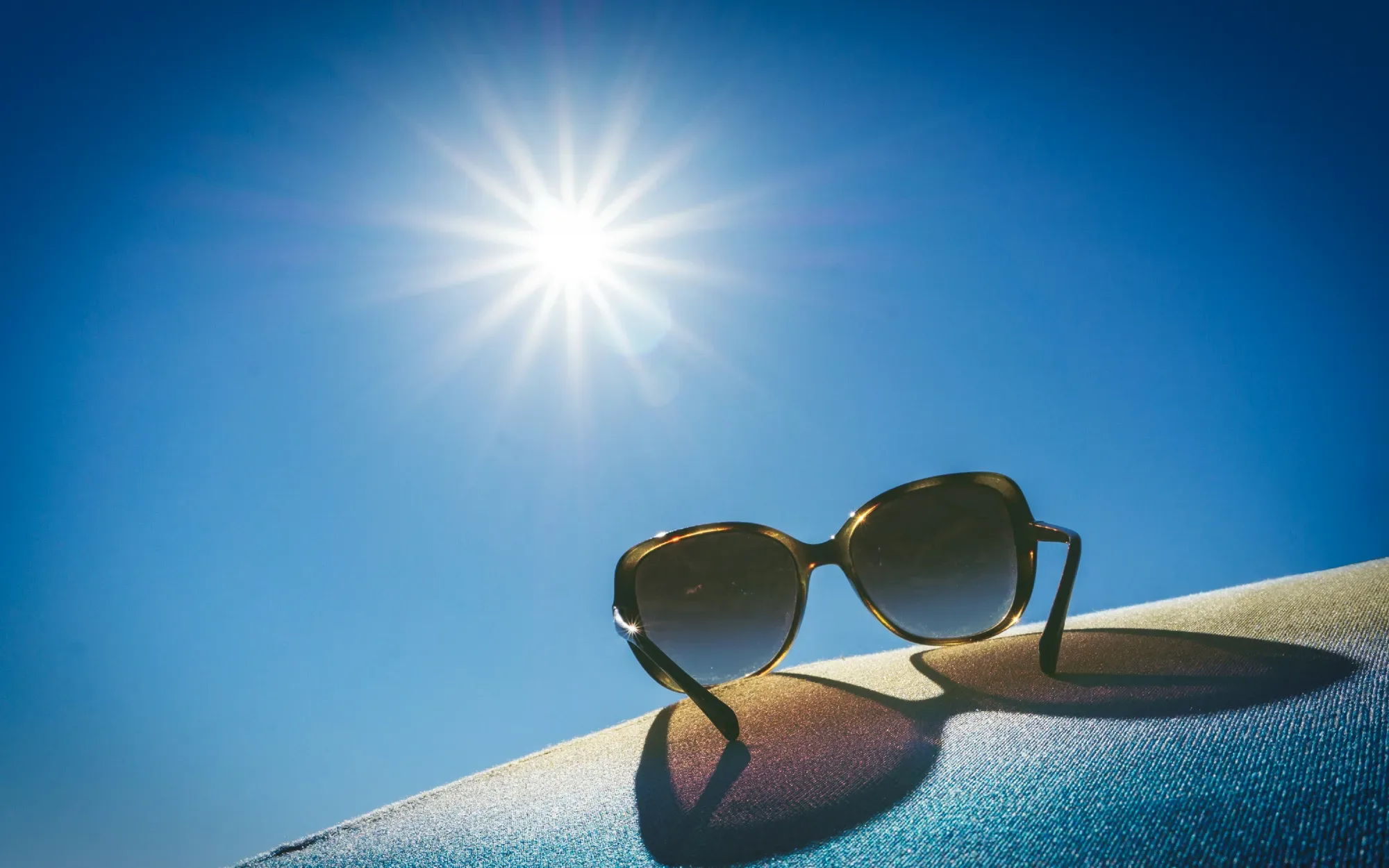 The bright sun illuminates a pair of brown sunglasses