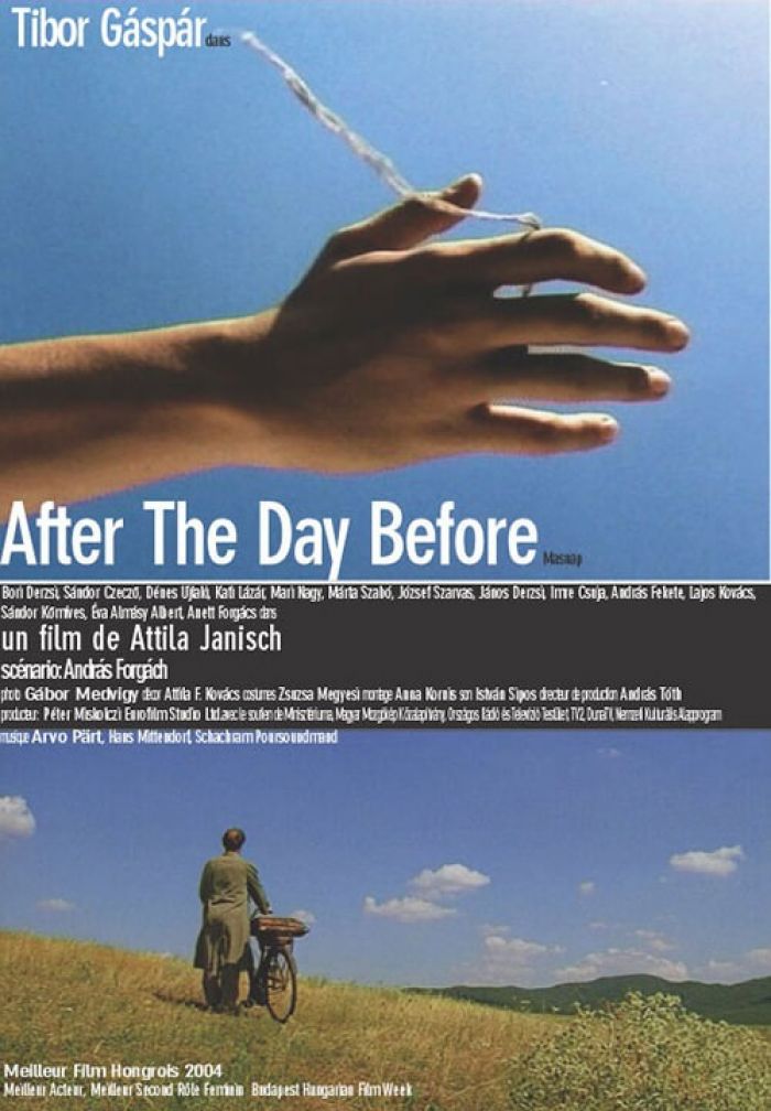 After the Day Before - Attila Janisch