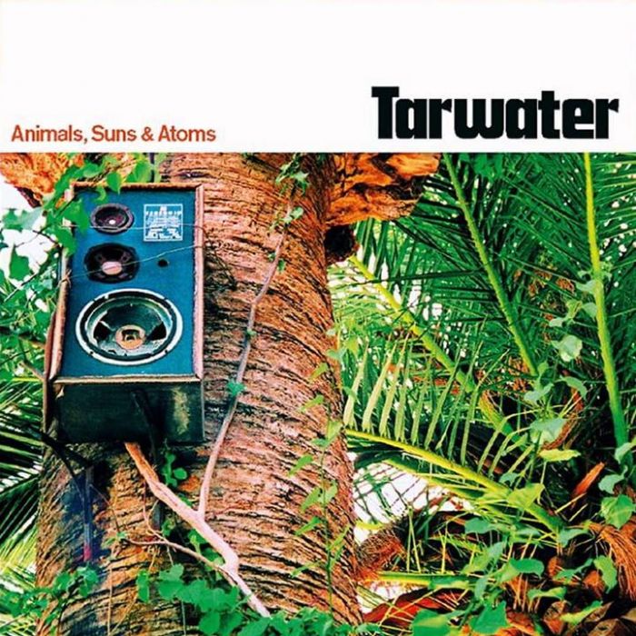 Animals, Suns & Atoms - Tarwater