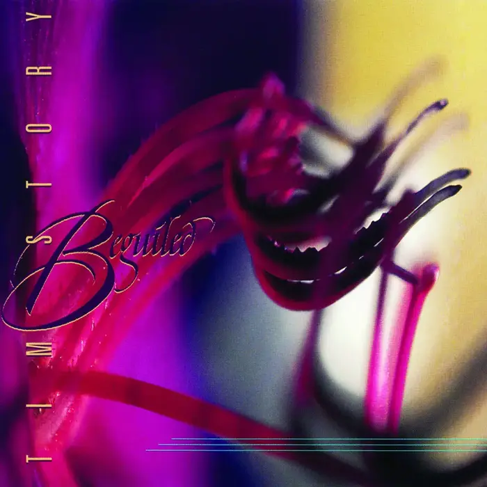 Beguiled - Tim Story