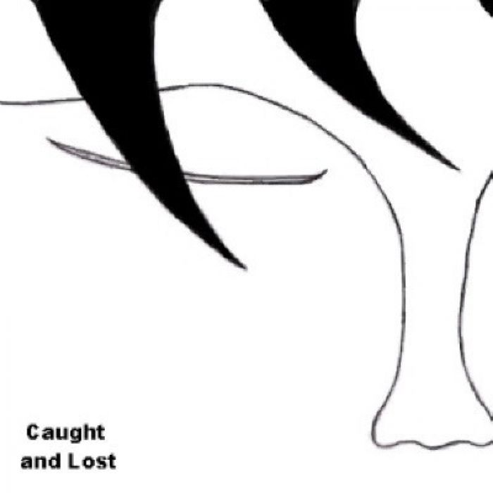 Caught and Lost - Loss of a Child
