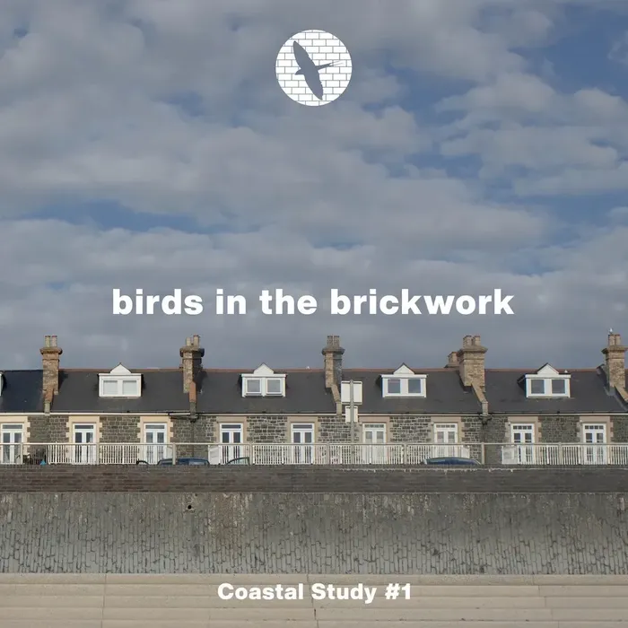 Coastal Study #1 - Birds in the Brickwork
