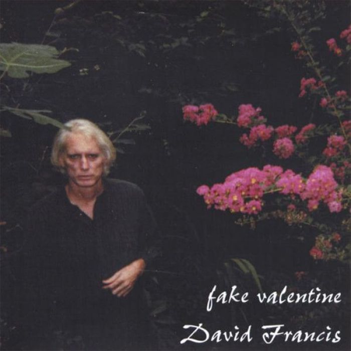 Fake Valentine - David Francis