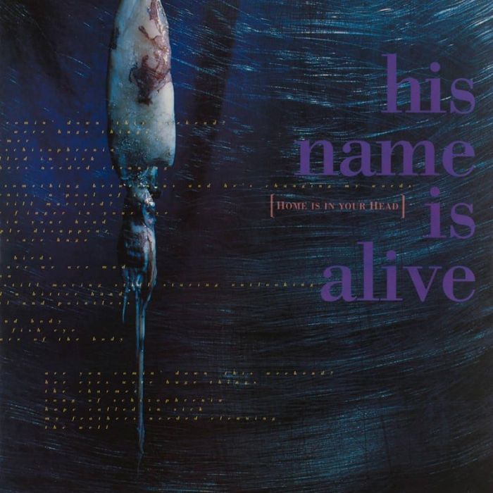 Home Is In Your Head - His Name Is Alive