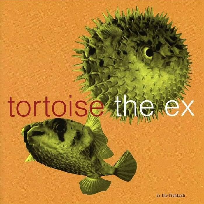 In the Fishtank - Tortoise and the Ex