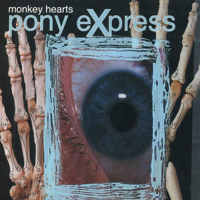 Monkey Hearts - Pony Express