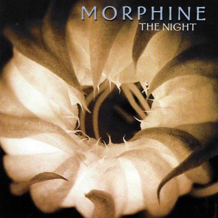 The Night - Morphine