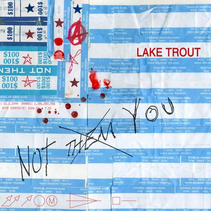 Not Them You - Lake Trout