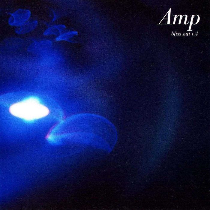 Perception - Amp