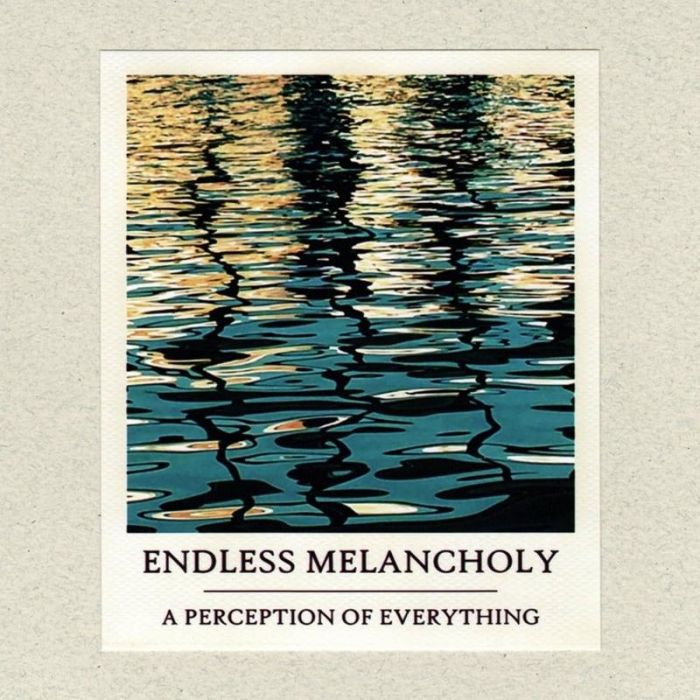 A Perception of Everything - Endless Melancholy