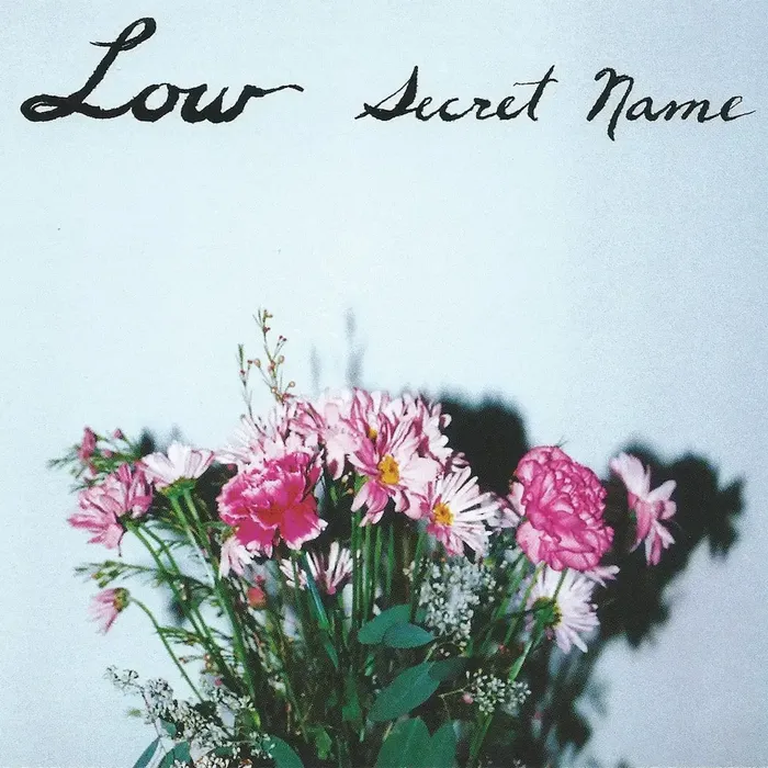 Secret Name - Low