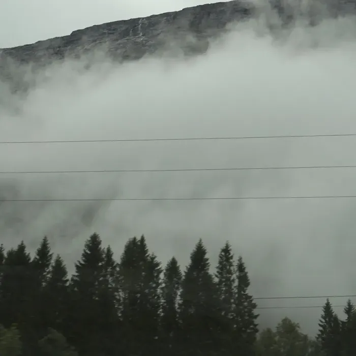 Wandering Mind, Drifting Weather - Julia Gjertsen, Gustav Davidsson