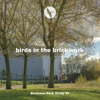 "Corporate Road" by Birds in the Brickwork