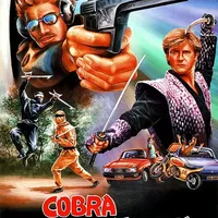 Cobra Against Ninja