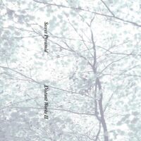 Distant Works II