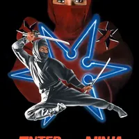 Enter the Ninja