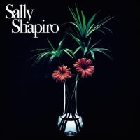 "Fading Away" by Sally Shapiro