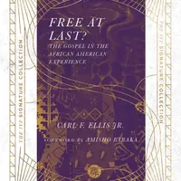 Free at Last?: The Gospel in the African American Experience