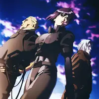 Ghost in the Shell: Stand Alone Complex, 2nd Gig