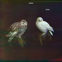 "Jakten Genom Skogen" by Dungen