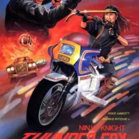 Ninja Knight Thunder Fox