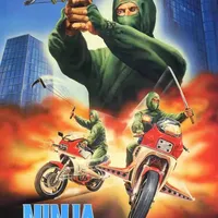 Ninja the Protector