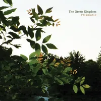 "Wetlands" by The Green Kingdom