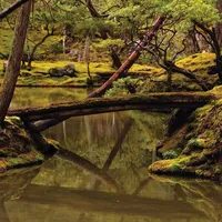 "Drifters and Dreamers" by Rebecca Foon and Aliayta Foon-Dancoes