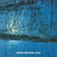 Straw