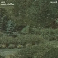 "Pines in Summer Static" by Zakè and Coppice Halifax