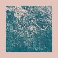 "Walk in the Forest Acid" by Pye Corner Audio