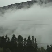 Wandering Mind, Drifting Weather