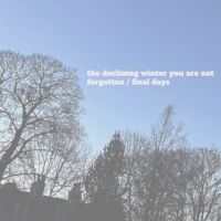 "You Are Not Forgotten" by The Declining Winter